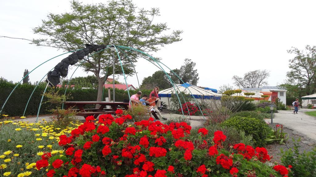 Sea Of Galilee - Genghis Khan In The Golan Giv'at Yo'av Exterior foto
